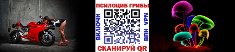 хочу наркоту  сайты даркнета какой сайт  Галлюциногенные грибы Magic Shrooms  Багратионовск  МЕГА зеркало 
